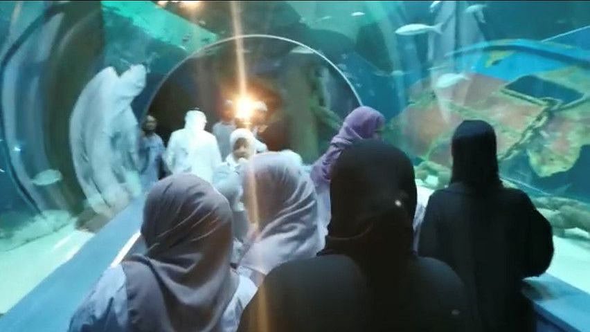 NAT 190906 Inmates from the Sharjah Punitive and Rehabilitation Centre got an opportunity to tour Sharjah Aquarium1-1567774361203