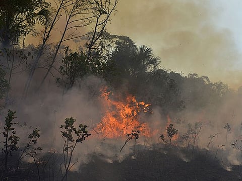 A fire burns a tract of the Amazon jungle in Agua Boa, Mato Grosso state, Brazil.