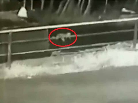 A screengrab from the video showing the child crawling on the road after the fall from vehicle.