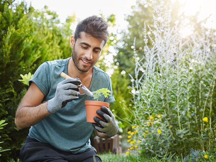 Gardener 