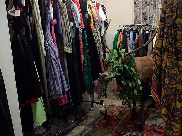 Italy_Deer_Trapped_in_a_Shop_98565