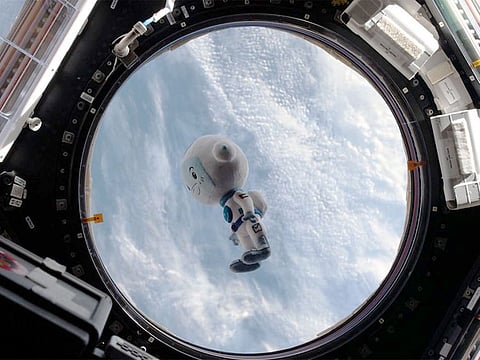 The first space shot of Suhail, the blue-and-white astro stuffed toy, the official mascot of the Mohammed Bin Rashid Space Centre (MBRSC).
