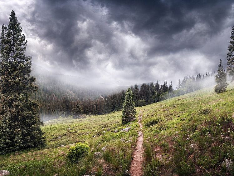 Kashmir