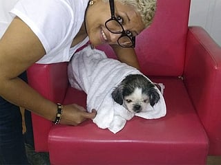 The search is over: Dog turns up a year after gas explosions
