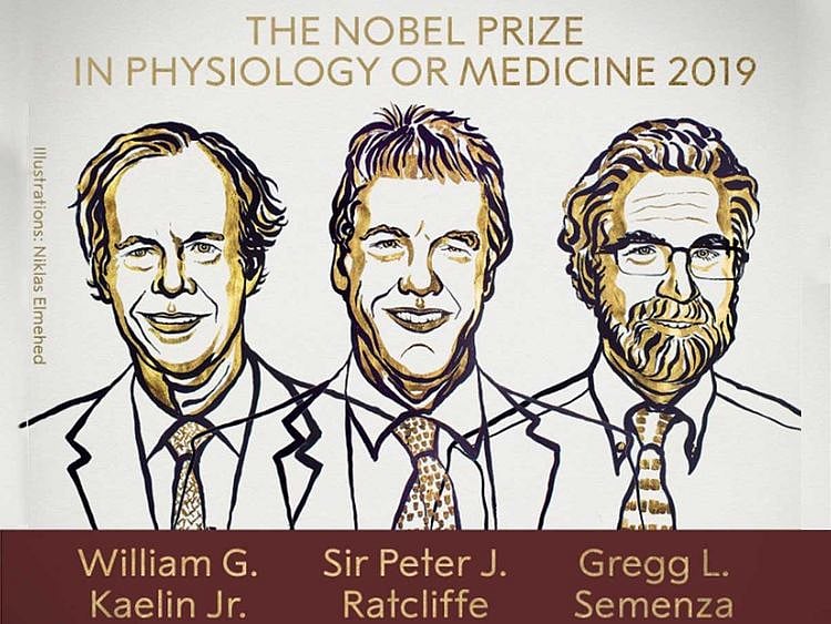 191007 nobel