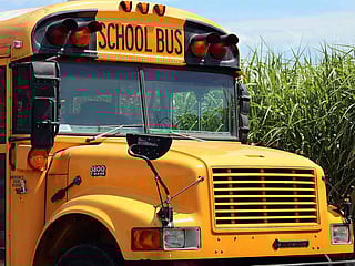 The tragedy in Al Suwaiq sparks nationwide grief and urgent calls for stricter student transport protocols.