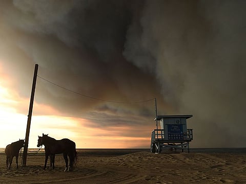 Horses are tied to a pole on the beach in Malibu, Calif., as the Woolsey Fire comes down the hill on Nov. 9, 2018. 
