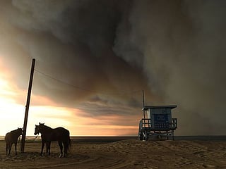 California fire danger spikes with most powerful winds of the season 