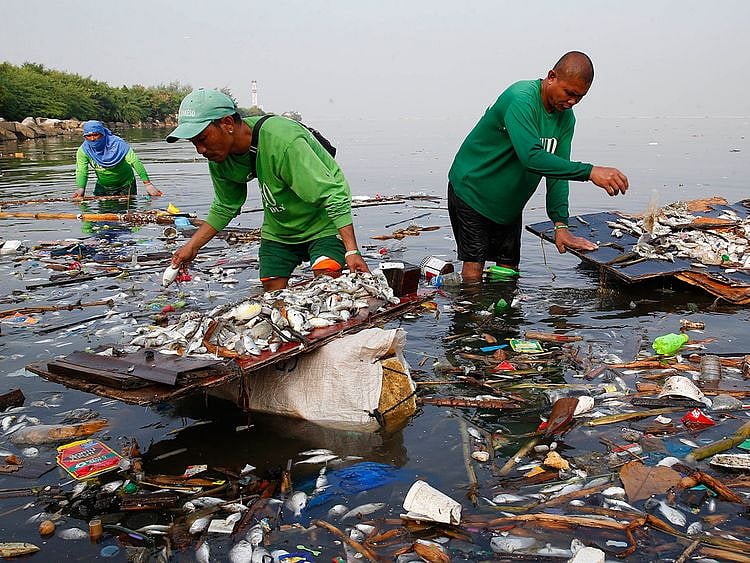 Philippines_Fish_Kill_24137