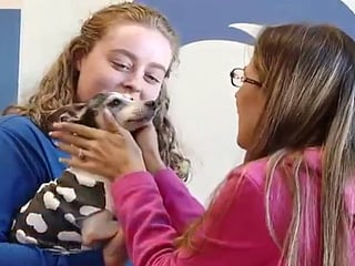 US: Woman reunited with missing dog 12 years later
