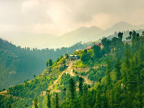 Murree Ayubia, Pakistan. The importance of the forest was stressed in efforts to cope with climate risks, particularly floods, torrential rains, desertification, sea-level rise and heatwaves, which have become increasingly frequent due to global warming.