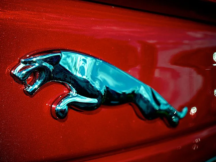 Jaguar logo generic