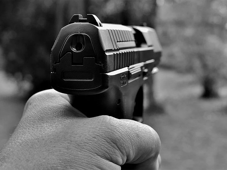 pistol, gun, rifle