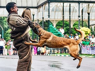 In Pictures: CRPF dogs demonstrate skills in Bangalore show