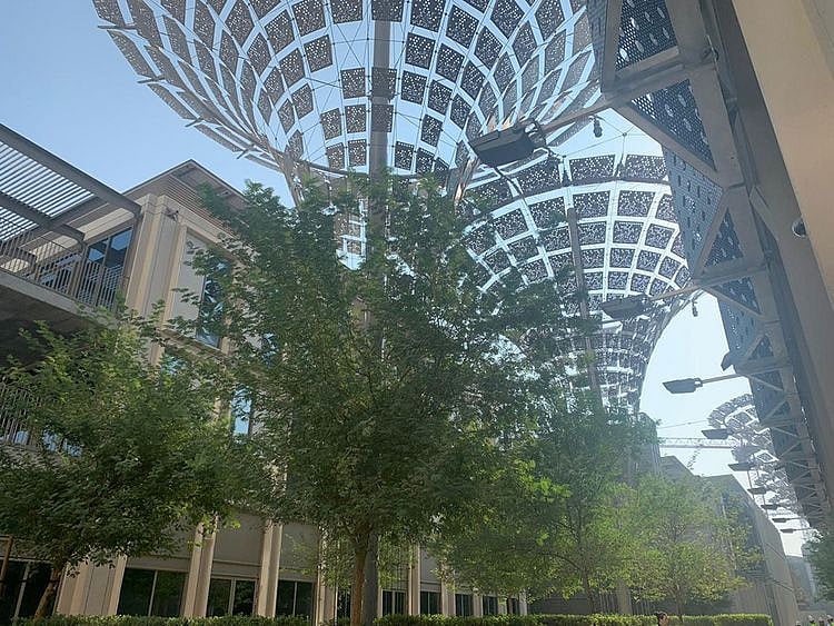 Expo 2020 inside look