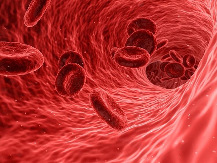 Immune cells rewire, repair brain while we sleep