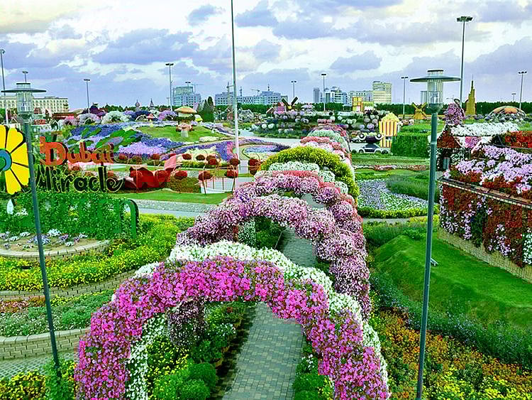 Dubai Miracle Garden