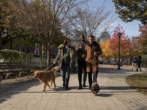 ‘Modern Love’ review: Guide to which episodes are worth your time