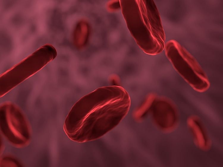 High hormone levels in blood raise prostate cancer risk