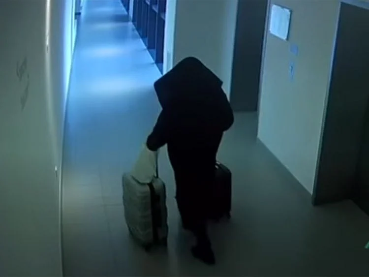 Thief
