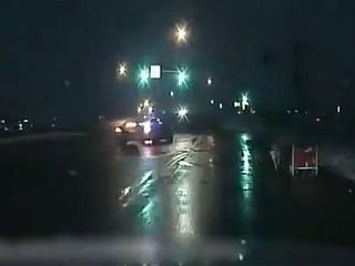 US: See police chase runaway sled dogs