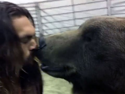 Jason Momoa feeding a bear