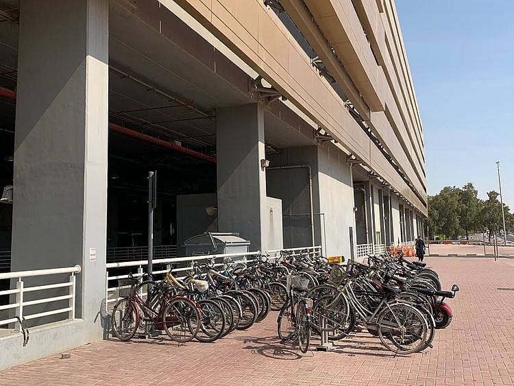 Bicycles at Rashidiya 