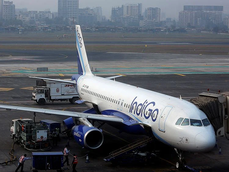 Indigo