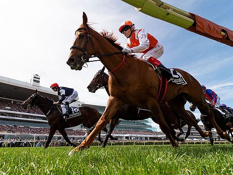 Vow And Declare wins the Melbourne Cup.