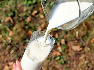 Indian cow milk contains gold: Bengal BJP chief