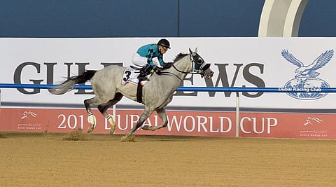 A file pic of XY Jet winning the Group I Dubai Golden Shaheen on the Dubai World Cup night. The Reach By Gulf News handicap on Thursday will be run over the same course and distance.