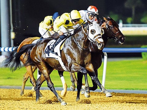 Tried And True, ridden by jockey Patrick Dobbs (in yellow helmet) and trained by Doug Watson wins the Gulf News race at Meydan racecourse. 