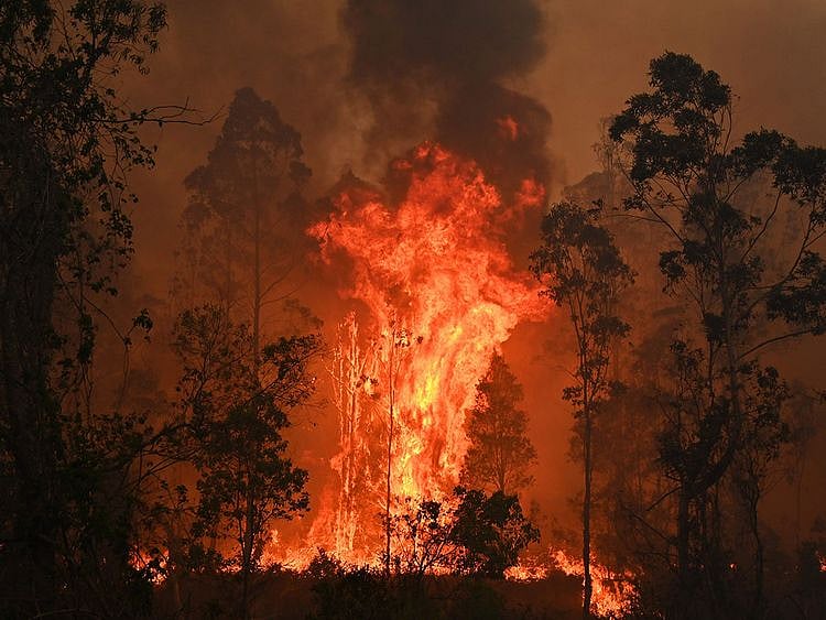 Bobin fire