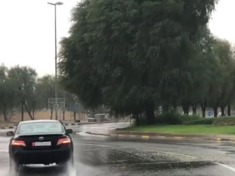 Rain