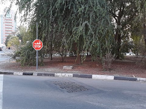 A reader has raised concern over an overgrown tree that is disrupting drivers' views