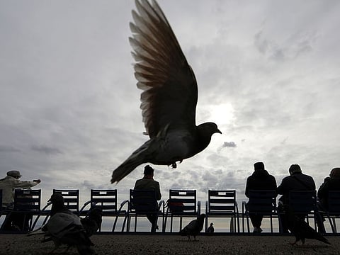 A pigeon flies while people enjoy warm temperatures on the Promenade des Anglais in Nice, France.