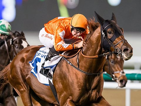 Phoenix Ladies Syndicate's Golden Jaguar