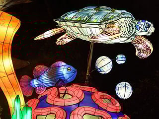 In Pictures: Sea animal lanterns shine in Paris 