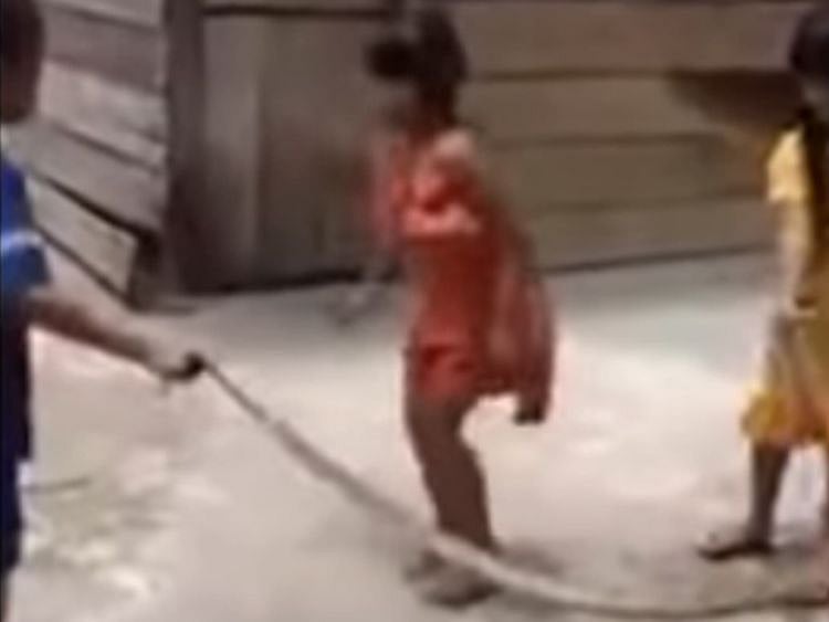 Viral snake jump video