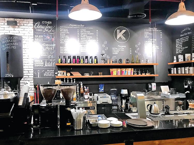 PW-191126_DSO_food_web_Kaffa-1574754095721