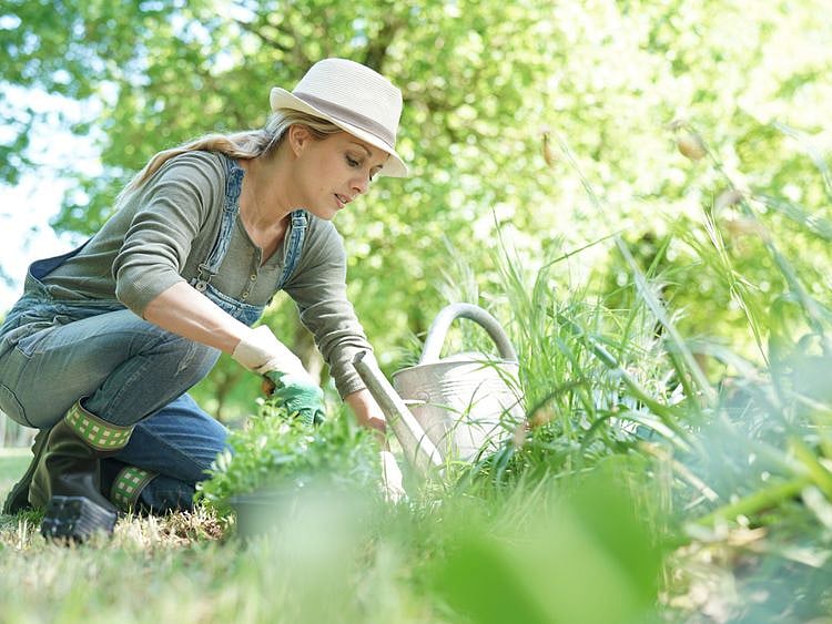 opn garden1-1575111741274