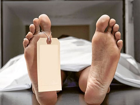 Illustrative pruposes