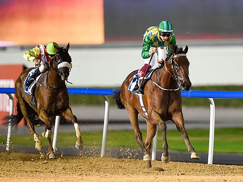 Meydan will host a seven-race card on New Year Day to mark #DubaiDestinations initiative.