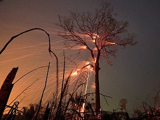 Fires in the Amazon: A barrier to climate change up in smoke