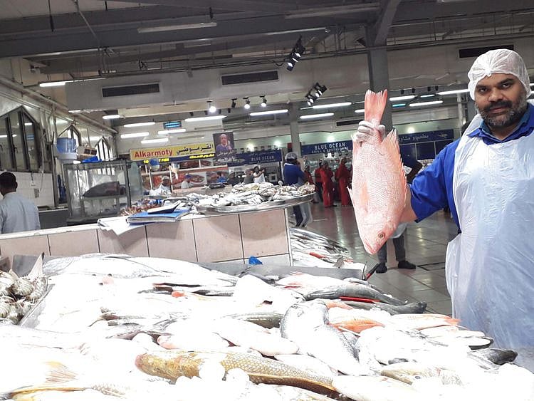 NAT 191204 FISH 1-1575704202867