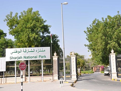 File picture of Sharjah National Park