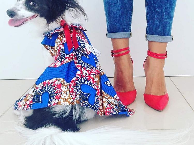 NAT 191210 Pet fashion Show-1576146607673