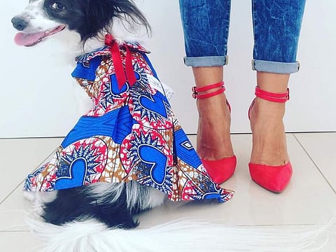 Dubai pets in designer wear to walk the ramp with kids