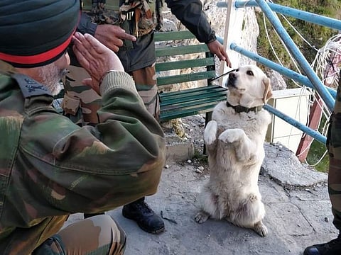 'Menaka' saluting the 15 Corps Commander Lt Gen KJS Dhillon