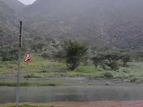 Rain in Khor Fakkan